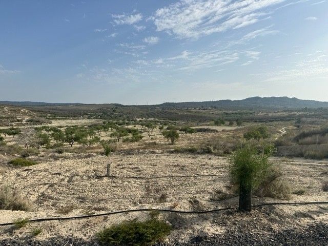 Land in Murcia for sale - Building Photo - Image 2 of 3