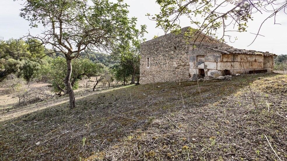 Land in Campanet for sale - Building Photo - Image 3 of 36
