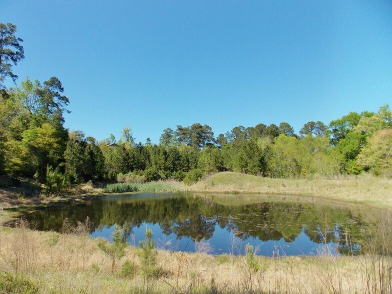 10223 PARADISE VALLEY Dr, Conroe, TX for sale - Other - Image 1 of 1