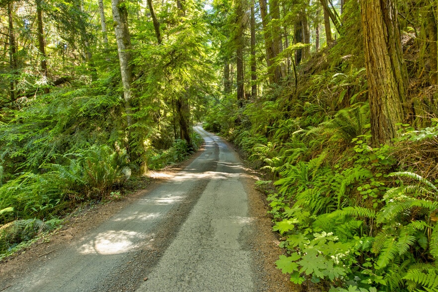 33170 Frog Pond rd, Little River, CA for sale - Building Photo - Image 2 of 28