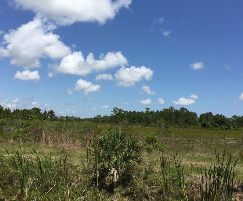 5399 SE Bridge Rd, Hobe Sound, FL for sale Primary Photo- Image 1 of 1