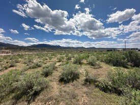 260 Buds Way Parachute CO - Land
