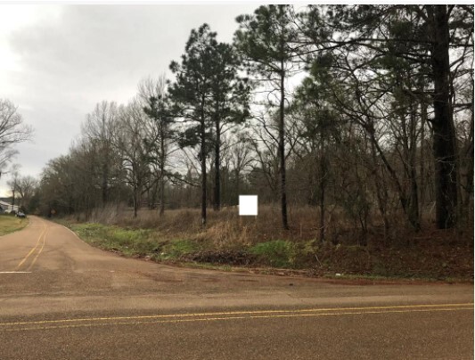 1358 Lower Woodville, Natchez, MS for sale - Primary Photo - Image 1 of 1