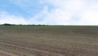 More details for CR 48 52.085 AC, Robstown, TX - Land for Sale