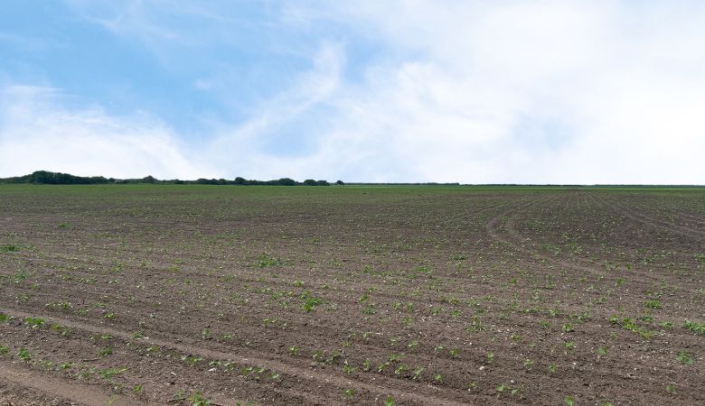 CR 48 52.085 AC, Robstown, TX for sale Primary Photo- Image 1 of 5