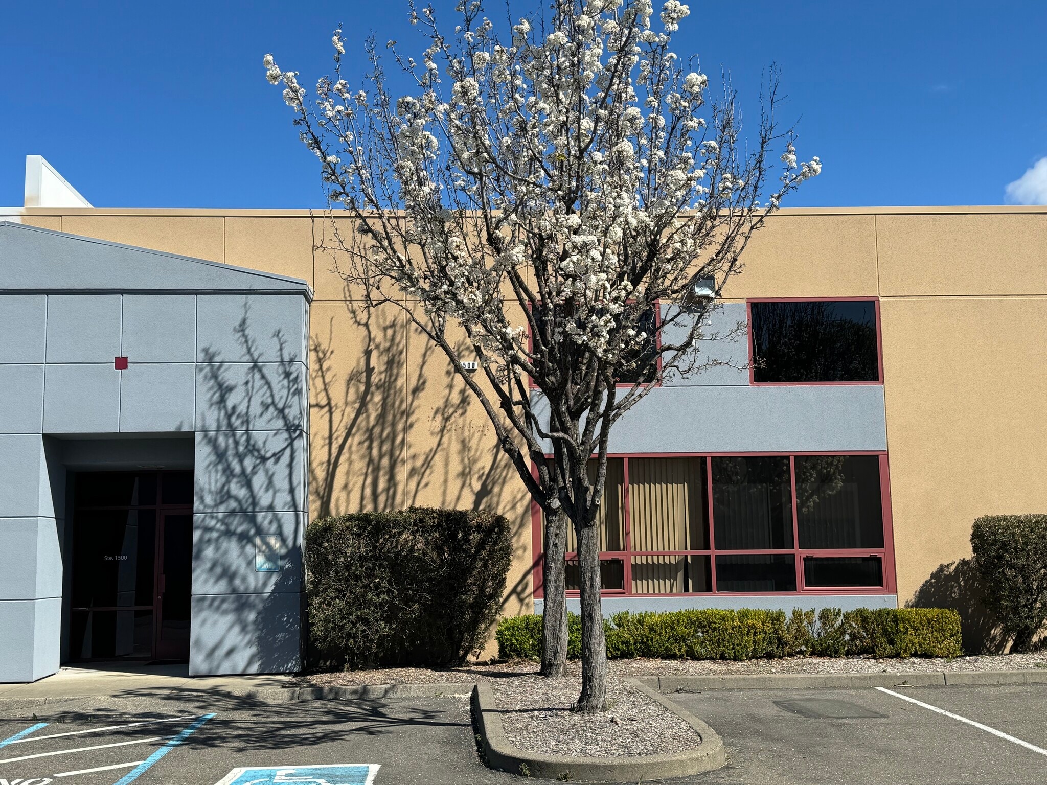 7975 Cameron Dr, Windsor, CA for lease Building Photo- Image 1 of 2