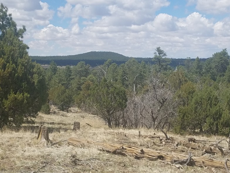 Forest Canyon Ests, Williams, AZ for sale - Other - Image 1 of 1