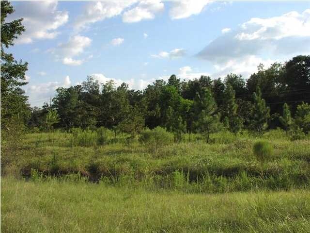7820 Theodore Dawes Rd, Theodore, AL for sale Primary Photo- Image 1 of 1