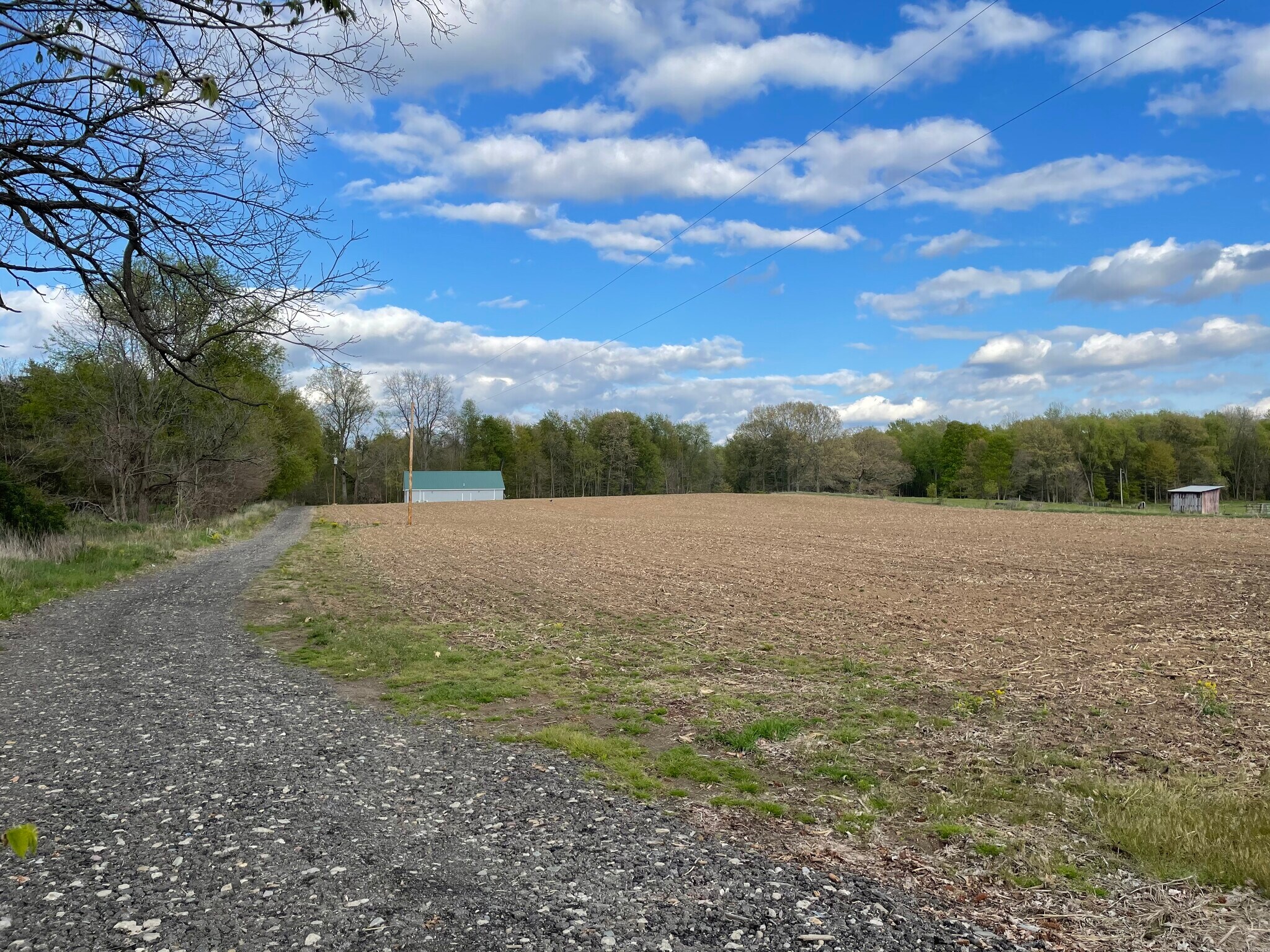 8891 Pulaski, Concord, MI for sale Primary Photo- Image 1 of 1