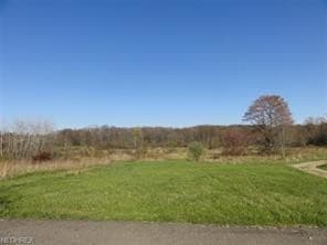 State Route 44, Mantua, OH for sale - Other - Image 1 of 1