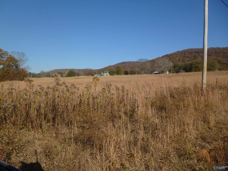 5504 Martin Ave NE, Fort Payne, AL for sale - Building Photo - Image 3 of 9