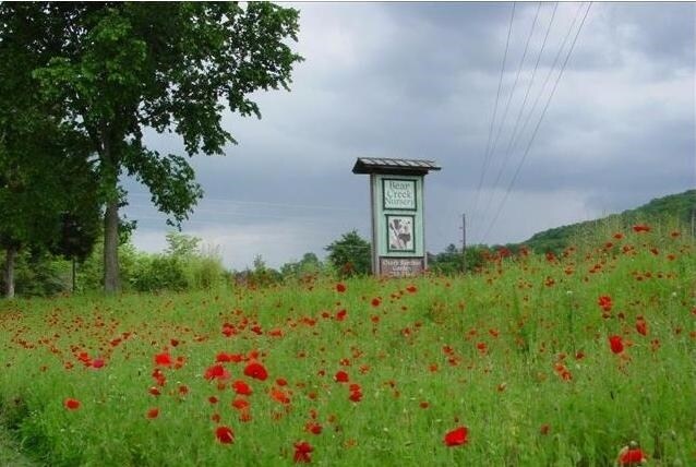 2798 Highway 23 N, Eureka Springs, AR for sale - Building Photo - Image 1 of 1