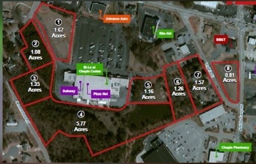 113 Virginia St, Chapin, SC for sale - Building Photo - Image 1 of 1