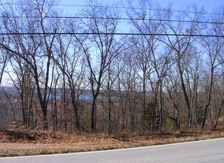 More details for 2291 N State Highway 265, Branson, MO - Land for Sale