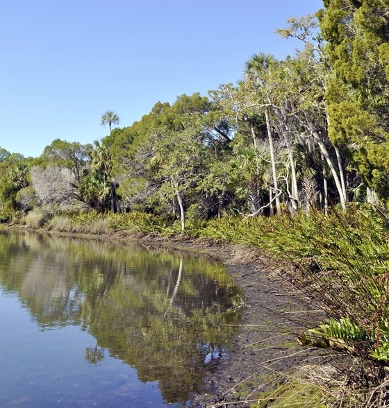 Cortez Blvd & Marys Fish Camp Rd, Weeki Wachee, FL for sale - Other - Image 2 of 15