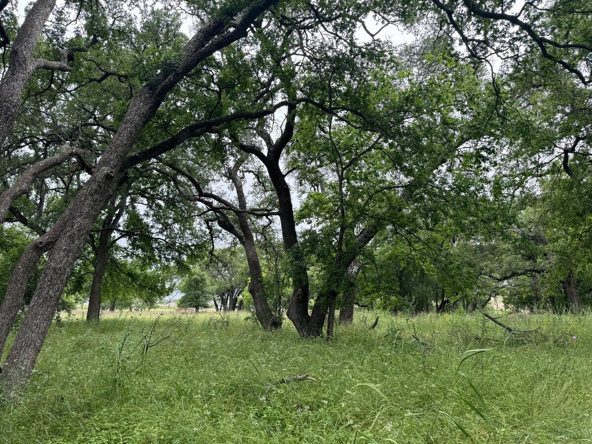 000 US 290 w, Dripping Springs, TX 78620 Land for Sale