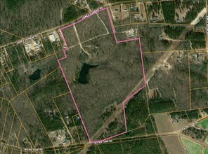 841 James Dunbar Rd, Pelion, SC - Aerial  map view