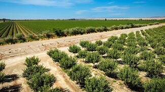 More details for 6470 County Road 99, Dunnigan, CA - Land for Sale