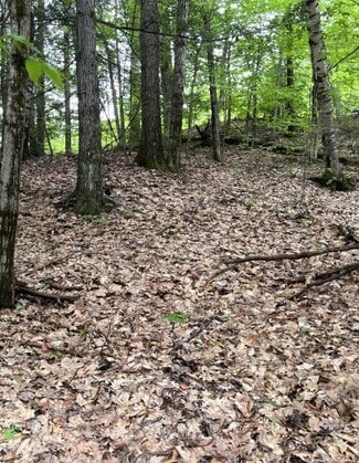 More details for 225 Washington Rd, Bradford, NH - Land for Sale