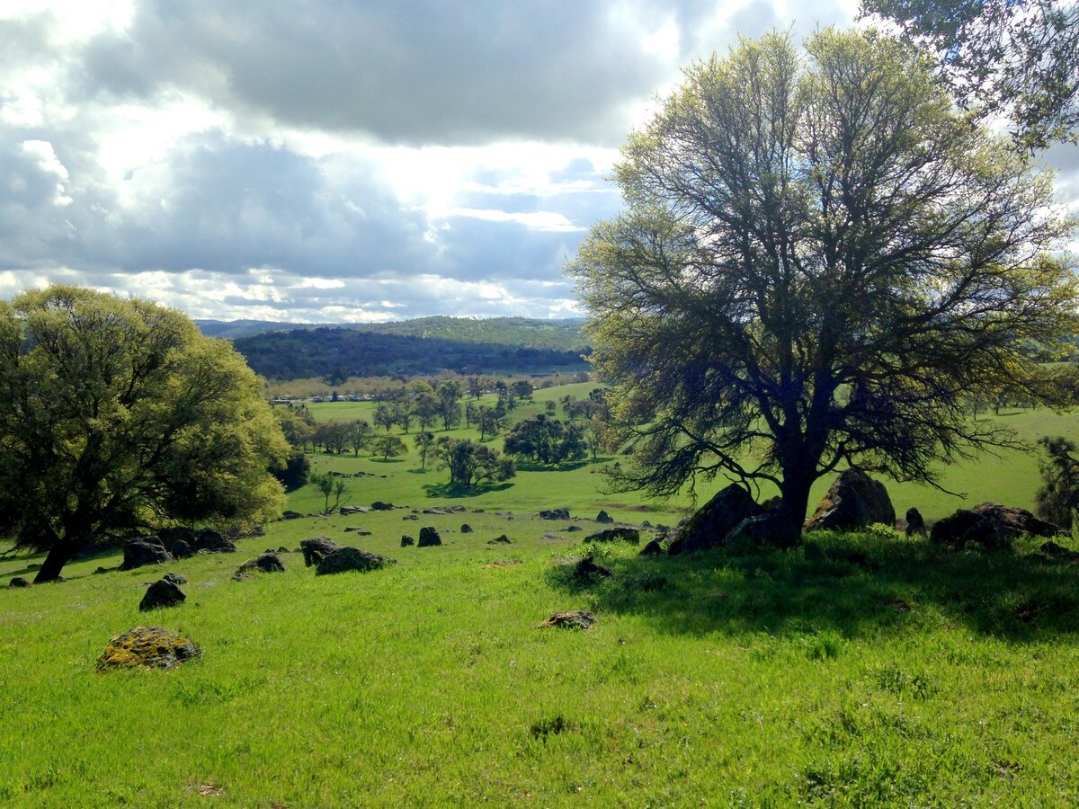 Highway 49 Zinfandel Parkway, Plymouth, CA 95669