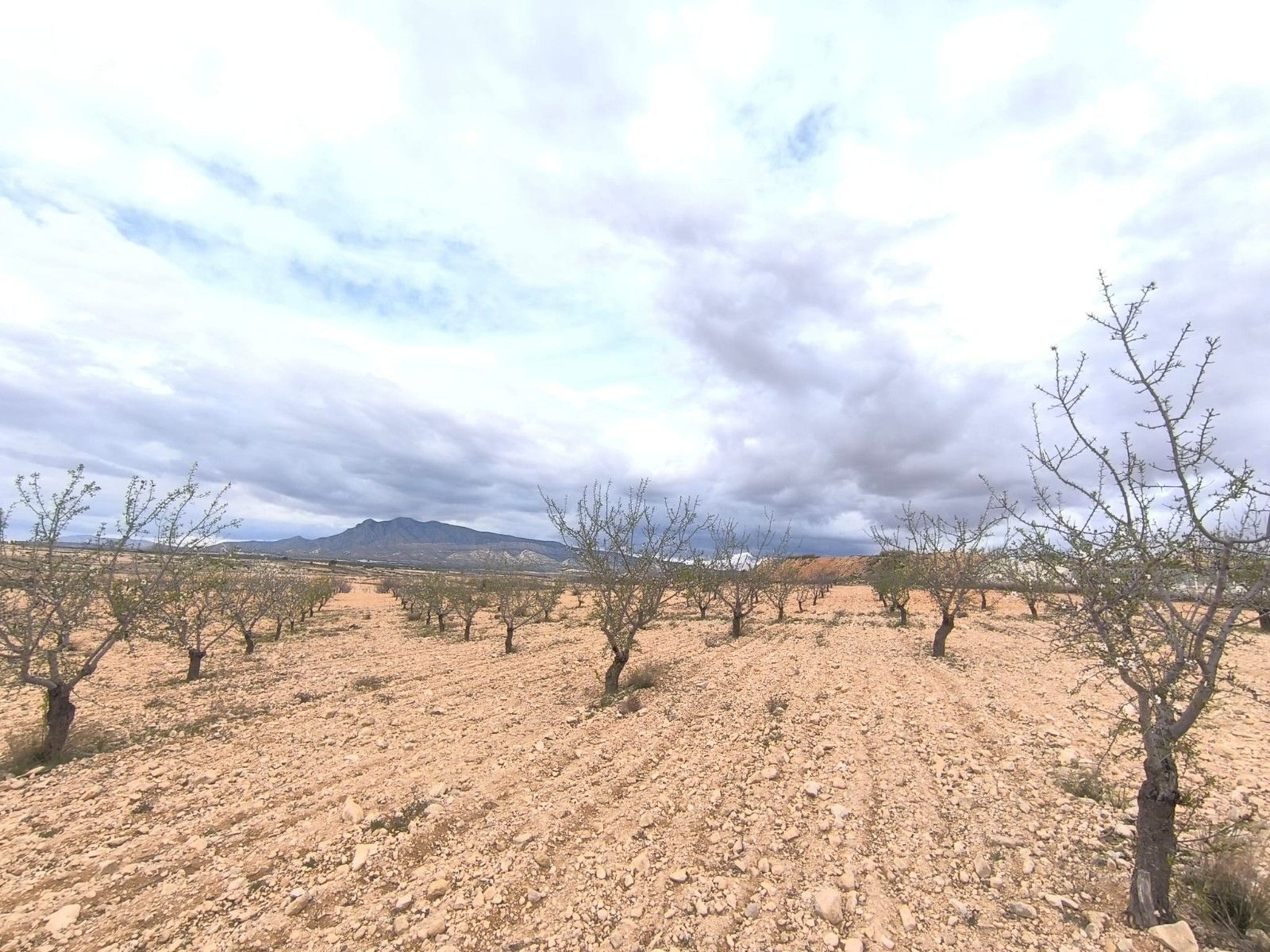 Land in Yecla for sale Building Photo- Image 1 of 5