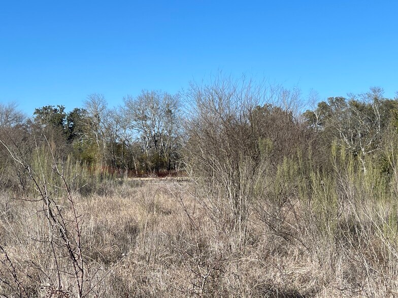 54 Acres Trainer Hale, Schertz, TX 78154 Land for Sale