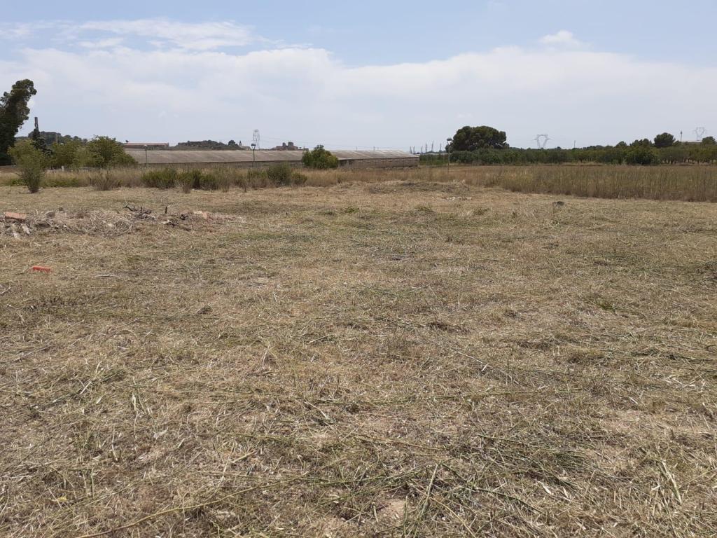Land in La Secuita, Tarragona for sale Primary Photo- Image 1 of 5