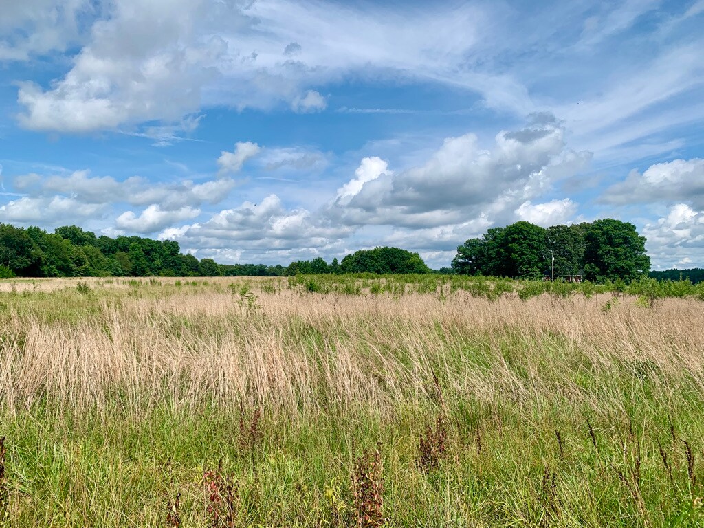 233 Manley Rd, Hazel Green, AL 35750