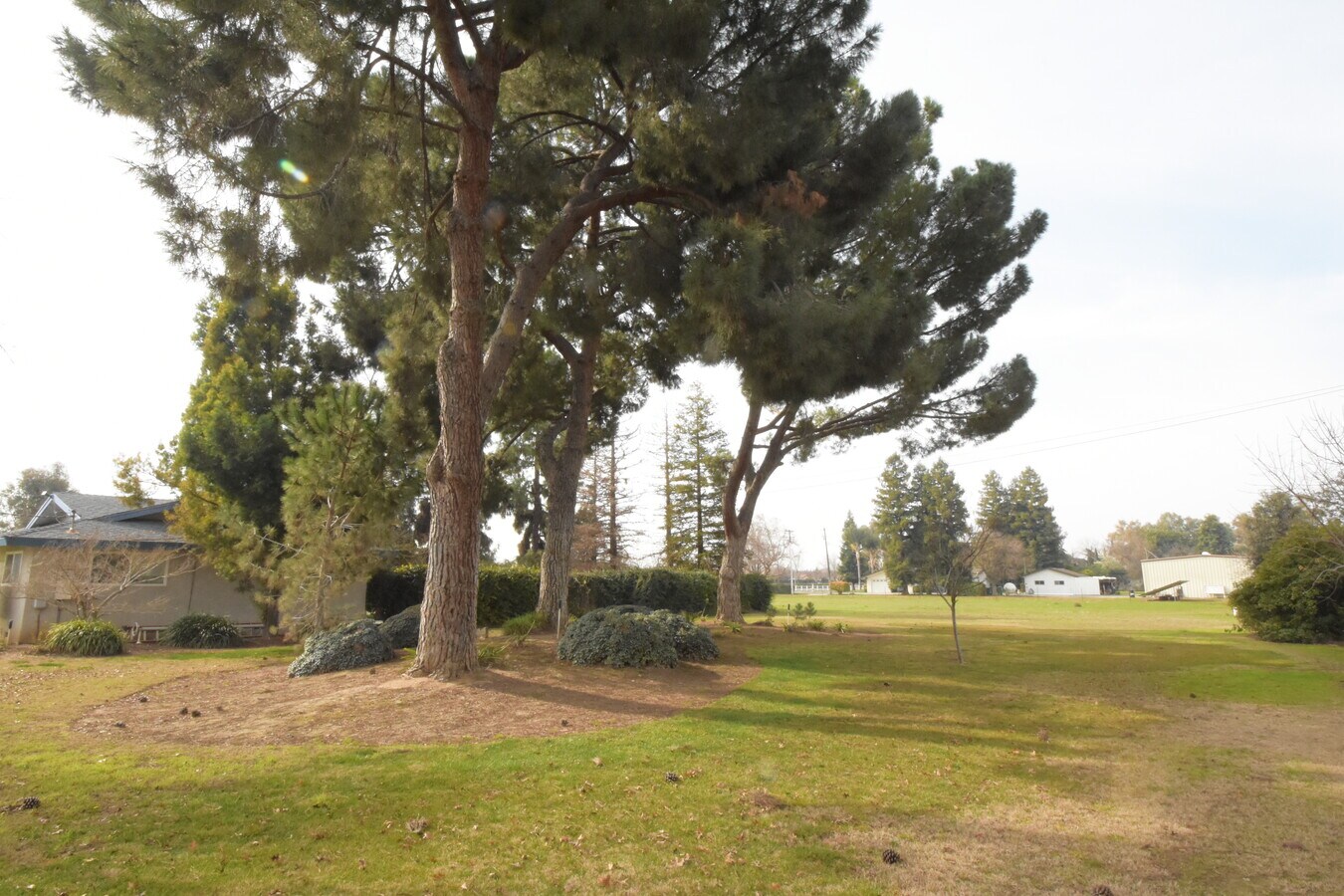 3182 De Wolf Ave, Clovis, CA 93619