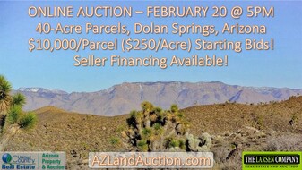 ONLINE AUCTION 40-ACRE PARCELS, DOLAN SPRINGS - Commercial Real Estate