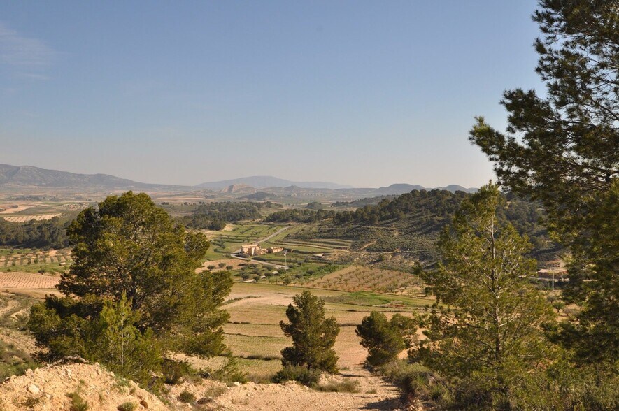 Land in Jumilla for sale - Building Photo - Image 3 of 9