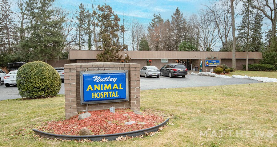 274 Washington Ave, Nutley, NJ for sale Primary Photo- Image 1 of 1