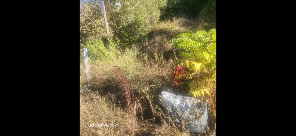 Motherlode Drive Dr, Shingle Springs, CA for sale - Building Photo - Image 3 of 10