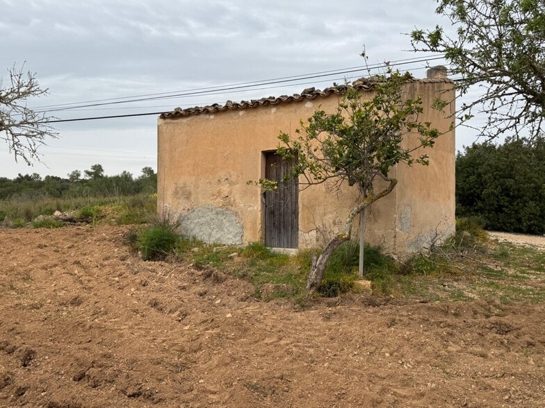 Camí Vel de Porreres, 2, Algaida, Islas Baleares for sale - Building Photo - Image 3 of 36