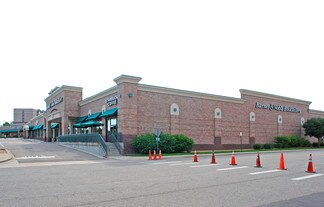 More details for 8360-8374 Willow Dr, Lone Tree, CO - Retail for Lease