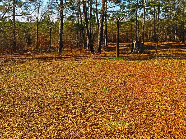 10142 Washington St, Covington, GA for sale - Building Photo - Image 1 of 1