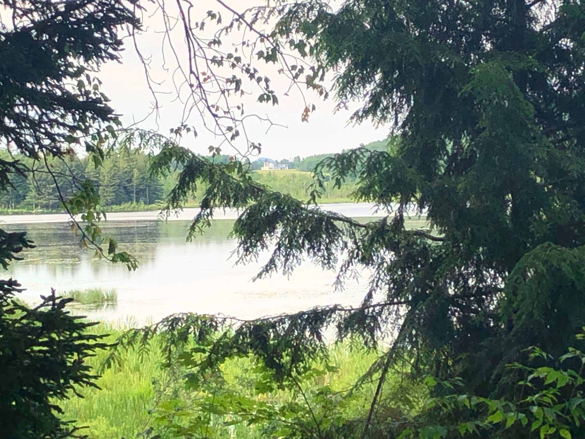 Old Otis Rd, Danby, VT for sale Primary Photo- Image 1 of 1