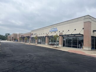 More details for 209-225 Brook Forest Ave, Shorewood, IL - Retail for Lease