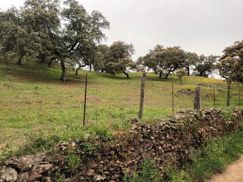 Land in Aracena, Huelva for sale - Building Photo - Image 2 of 6