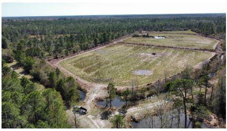 704 Coyote Run, Maple Hill, NC for sale - Building Photo - Image 1 of 1