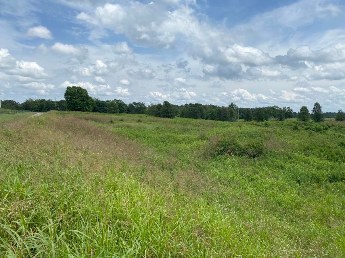 0 Nashville Rd, Franklin, KY 42134