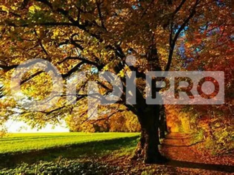 Retail in Trévoux for sale Building Photo- Image 1 of 4