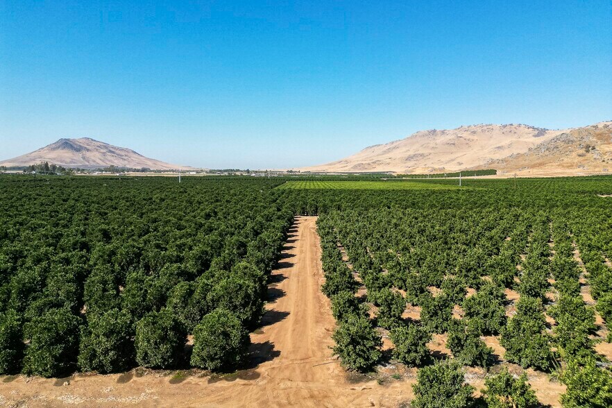 CA180, Reedley, CA 93654