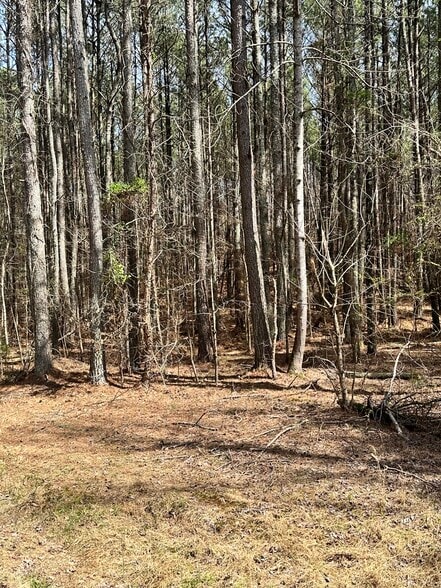 0 Autry Rd, Plainville, GA for sale - Building Photo - Image 3 of 9