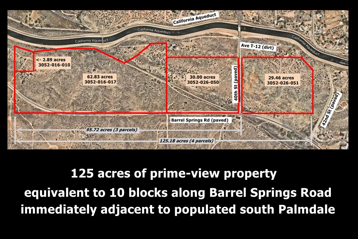 Barrel Springs Rd, Palmdale, CA for sale Building Photo- Image 1 of 1