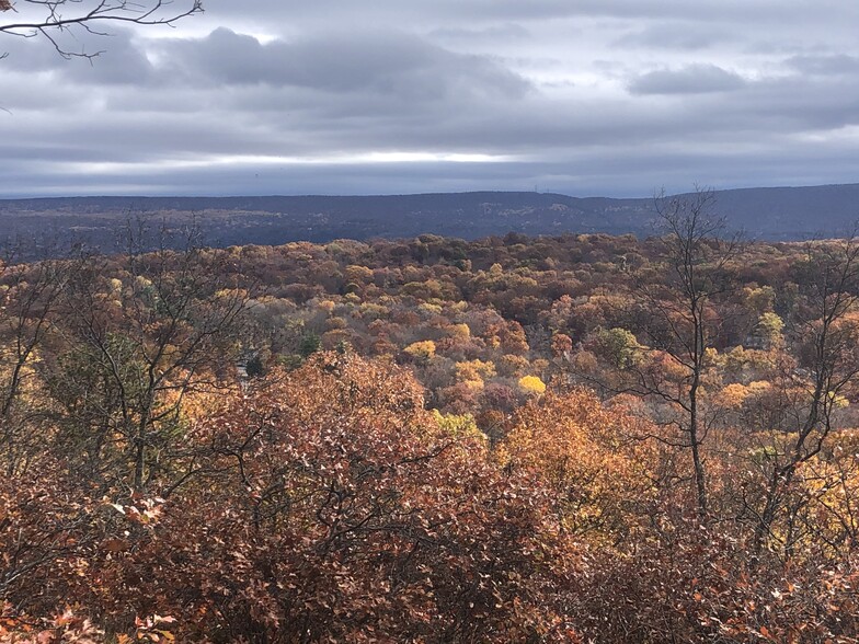 1216 Dorset, Bushkill, PA for sale - Primary Photo - Image 3 of 5