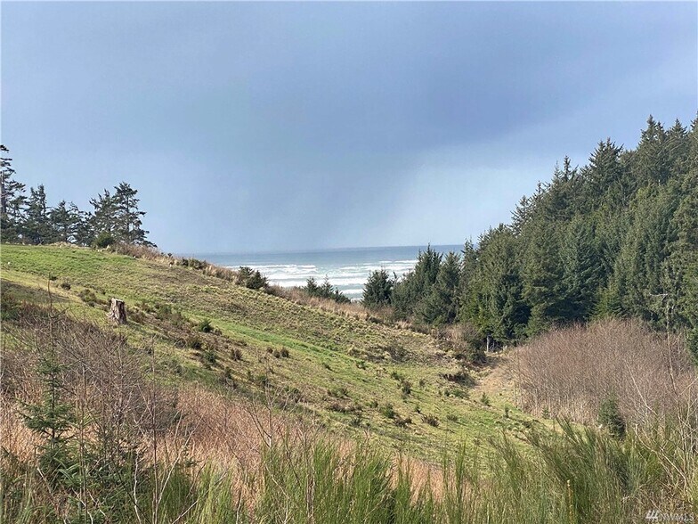 2 Chauncey Ln, Pacific Beach, WA for sale - Building Photo - Image 1 of 1