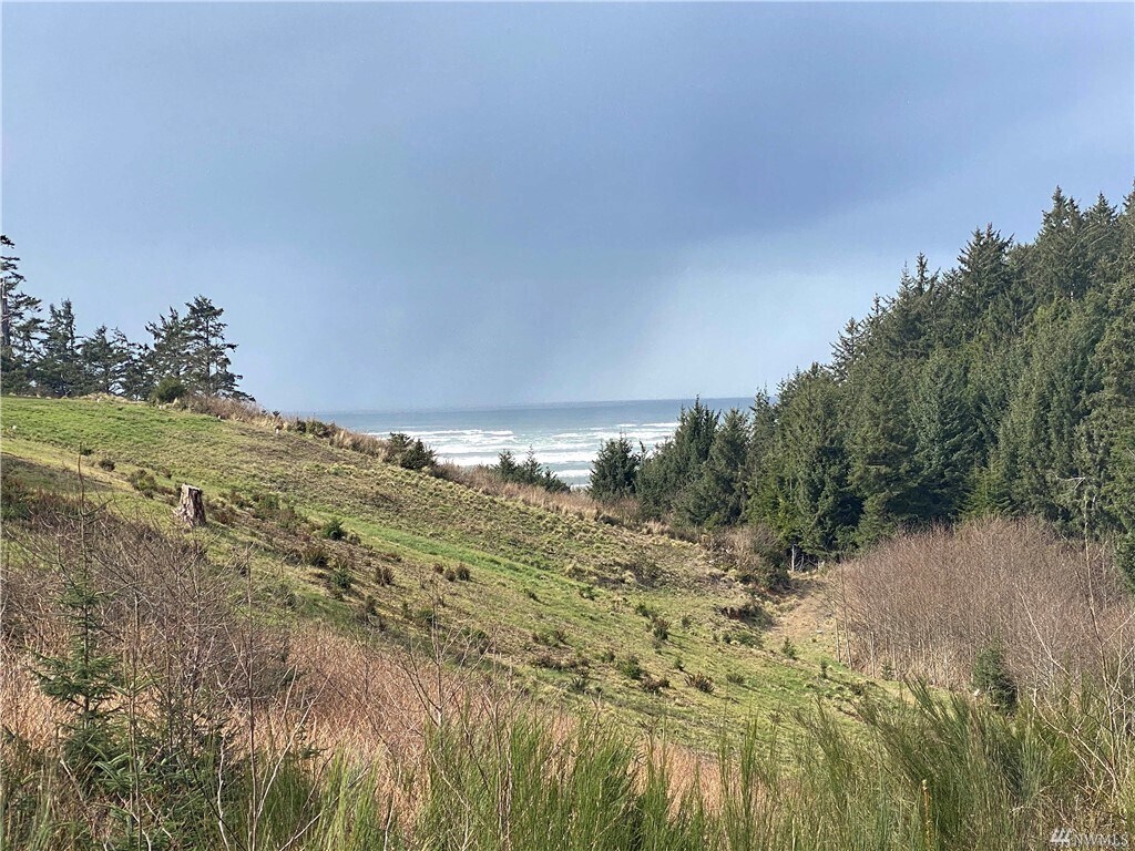 2 Chauncey Ln, Pacific Beach, WA for sale Building Photo- Image 1 of 1