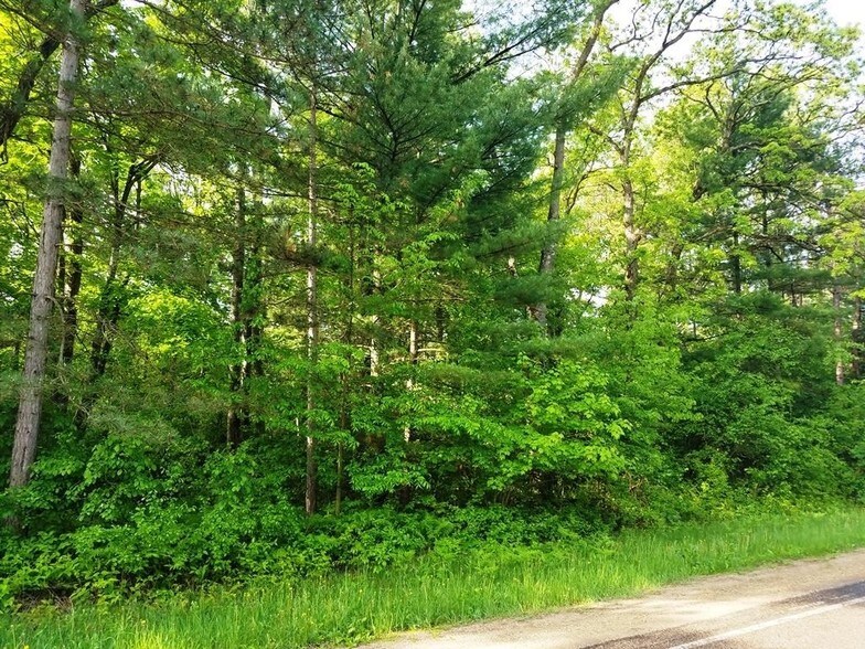 866th Ave, Colfax, WI 54730