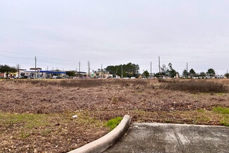 More details for Will Clayton Blvd & West Lake Houston Pky, Atascocita, TX - Land for Sale